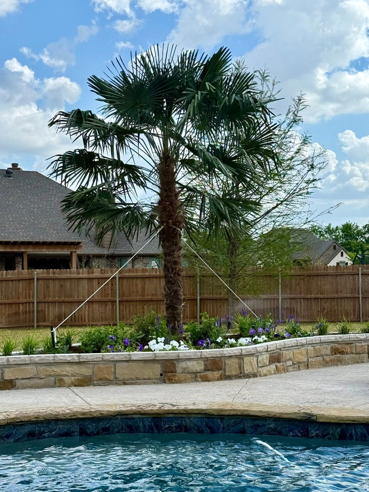 Palm and flower bed behind a stone raised wall beside a stamped concrete pool deck
