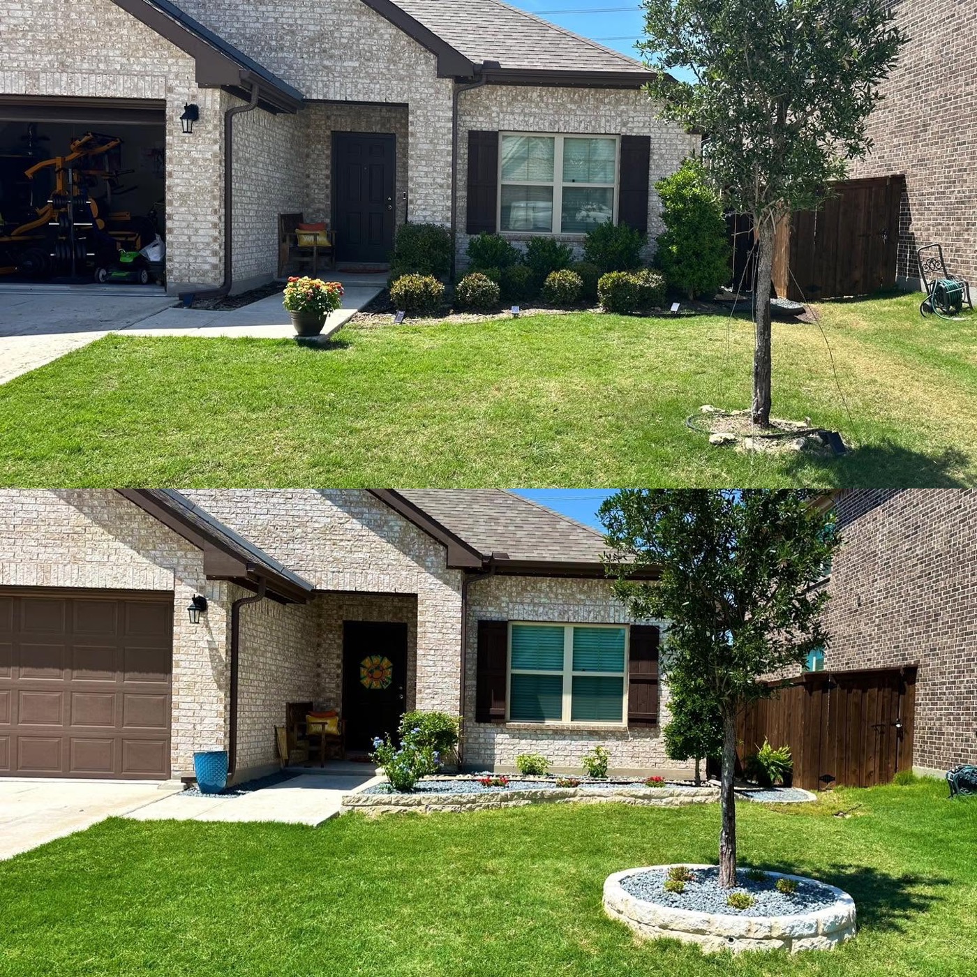 Front yard before and after with stone borders and tree ring